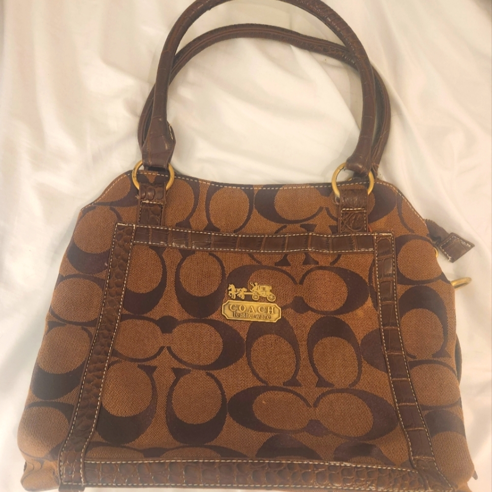Tortoise style Coach purse